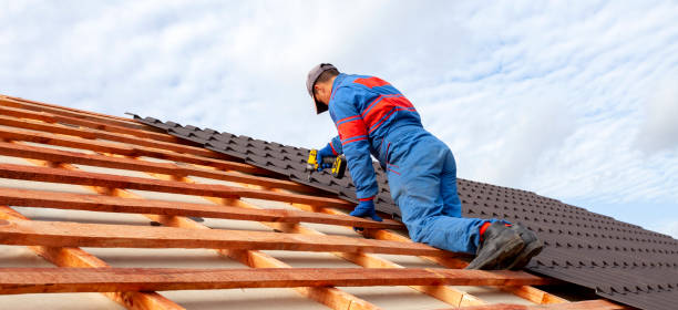 Best Green or Eco-Friendly Roofing Solutions  in Chatham, IL